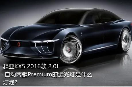 起亚KX5 2016款 2.0L 自动两驱Premium的远光灯是什么灯泡？