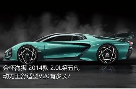 金杯海狮 2014款 2.0L第五代动力王舒适型V20有多长？