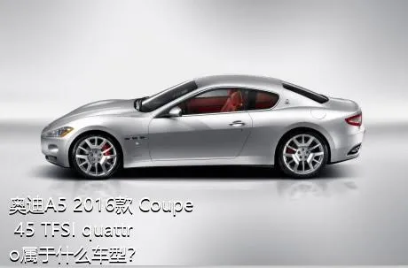 奥迪A5 2016款 Coupe 45 TFSI quattro属于什么车型？