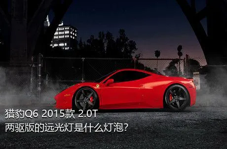 猎豹Q6 2015款 2.0T 两驱版的远光灯是什么灯泡？