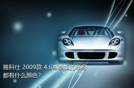 雅科仕 2009款 4.6尊享版的车身都有什么颜色？