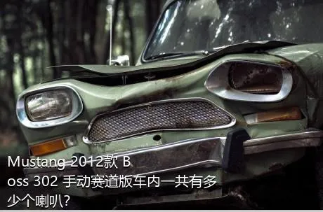 Mustang 2012款 Boss 302 手动赛道版车内一共有多少个喇叭？