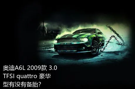 奥迪A6L 2009款 3.0 TFSI quattro 豪华型有没有备胎？
