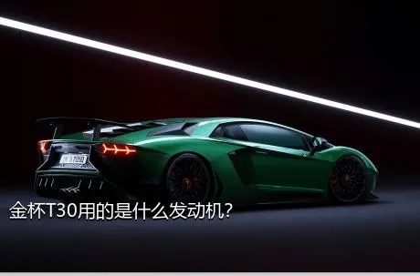 金杯T30用的是什么发动机？