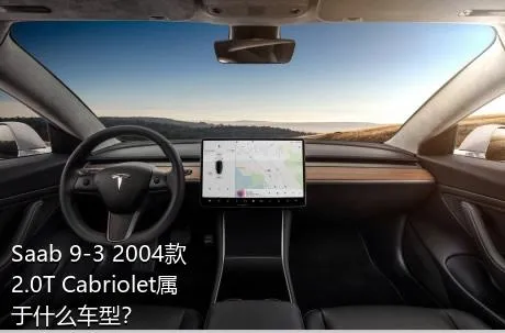Saab 9-3 2004款 2.0T Cabriolet属于什么车型？