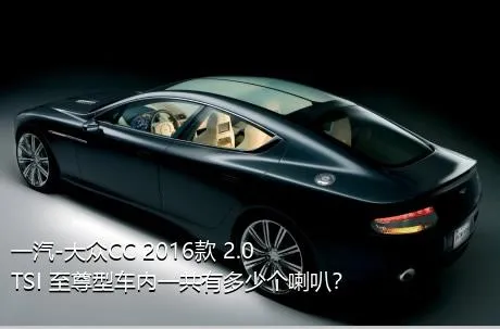 一汽-大众CC 2016款 2.0TSI 至尊型车内一共有多少个喇叭？