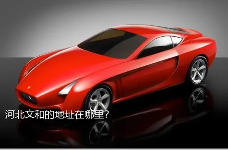 河北文和的地址在哪里？