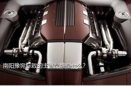 南阳豫宛标致的主营品牌是什么？
