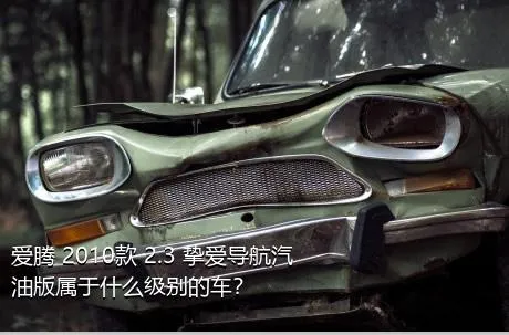 爱腾 2010款 2.3 挚爱导航汽油版属于什么级别的车？