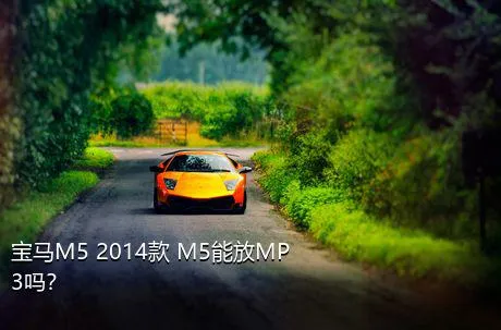 宝马M5 2014款 M5能放MP3吗？