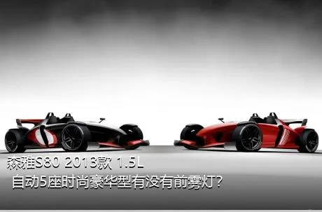森雅S80 2013款 1.5L 自动5座时尚豪华型有没有前雾灯？