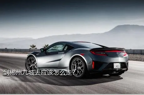 到郴州九城去应该怎么走？