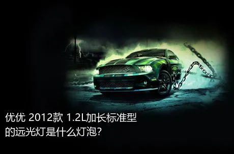优优 2012款 1.2L加长标准型的远光灯是什么灯泡？