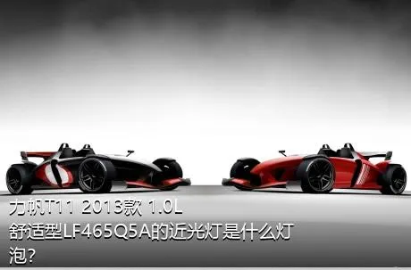 力帆T11 2013款 1.0L舒适型LF465Q5A的近光灯是什么灯泡？