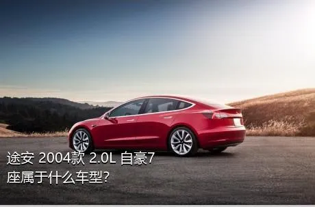途安 2004款 2.0L 自豪7座属于什么车型？