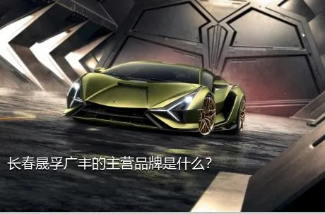 长春晟孚广丰的主营品牌是什么？