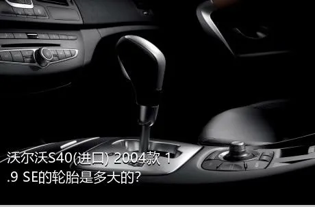 沃尔沃S40(进口) 2004款 1.9 SE的轮胎是多大的？