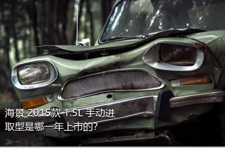 海景 2015款 1.5L 手动进取型是哪一年上市的？