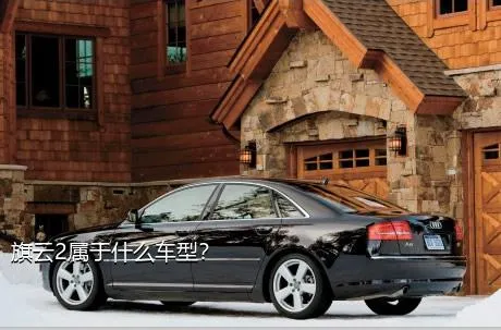 旗云2属于什么车型？