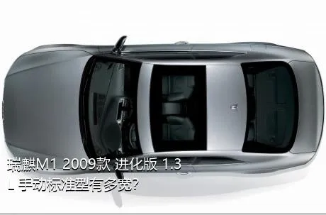 瑞麒M1 2009款 进化版 1.3L 手动标准型有多宽？