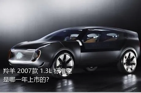 羚羊 2007款 1.3L 标准型是哪一年上市的？