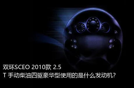 双环SCEO 2010款 2.5T 手动柴油四驱豪华型使用的是什么发动机？