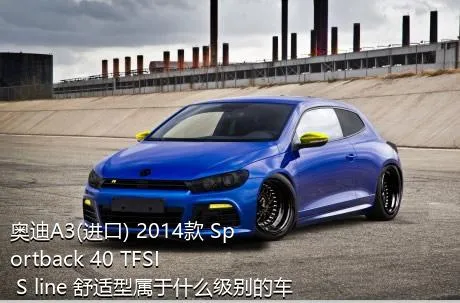奥迪A3(进口) 2014款 Sportback 40 TFSI S line 舒适型属于什么级别的车？