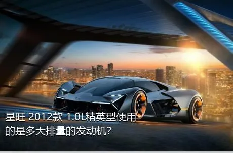 星旺 2012款 1.0L精英型使用的是多大排量的发动机？