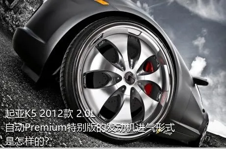 起亚K5 2012款 2.0L 自动Premium特别版的发动机进气形式是怎样的？