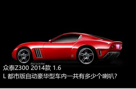 众泰Z300 2014款 1.6L 都市版自动豪华型车内一共有多少个喇叭？