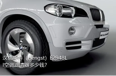汉格斯特（Hengst）E2948LI空调滤清器多少钱？