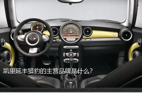 凯里延丰猎豹的主营品牌是什么？