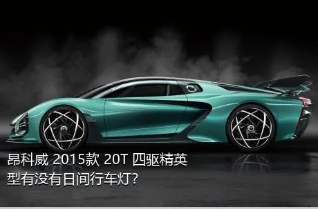 昂科威 2015款 20T 四驱精英型有没有日间行车灯？
