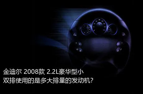 金迪尔 2008款 2.2L豪华型小双排使用的是多大排量的发动机？