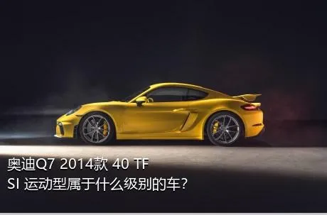 奥迪Q7 2014款 40 TFSI 运动型属于什么级别的车？