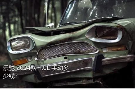 乐驰 2004款 1.0L 手动多少钱？