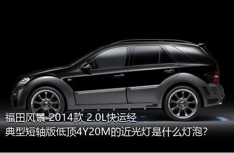 福田风景 2014款 2.0L快运经典型短轴版低顶4Y20M的近光灯是什么灯泡？