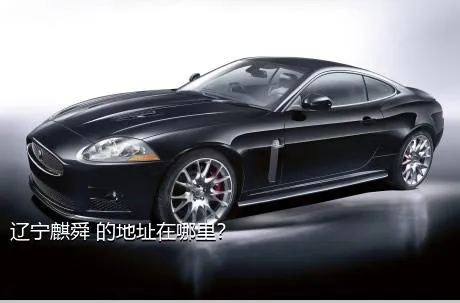 辽宁麒舜 的地址在哪里？