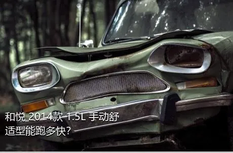 和悦 2014款 1.5L 手动舒适型能跑多快？