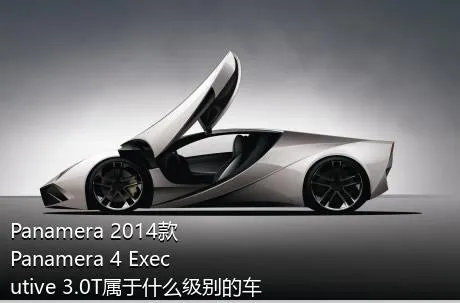 Panamera 2014款 Panamera 4 Executive 3.0T属于什么级别的车？