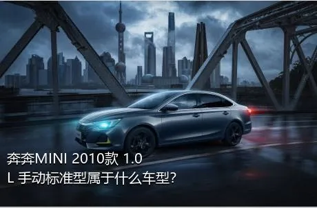 奔奔MINI 2010款 1.0L 手动标准型属于什么车型？