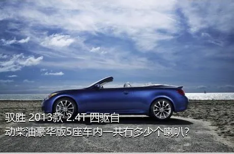 驭胜 2013款 2.4T 四驱自动柴油豪华版5座车内一共有多少个喇叭？