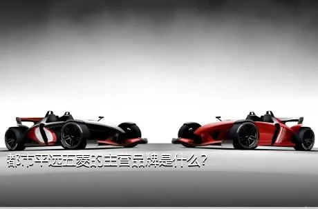 都市平远五菱的主营品牌是什么？