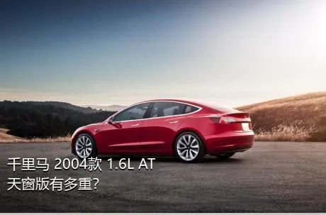 千里马 2004款 1.6L AT天窗版有多重？