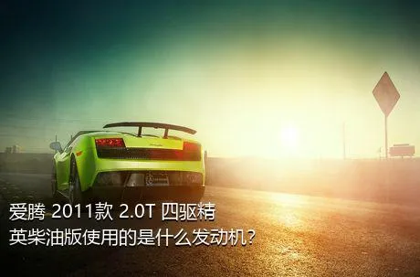 爱腾 2011款 2.0T 四驱精英柴油版使用的是什么发动机？