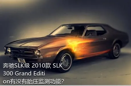 奔驰SLK级 2010款 SLK 300 Grand Edition有没有胎压监测功能？