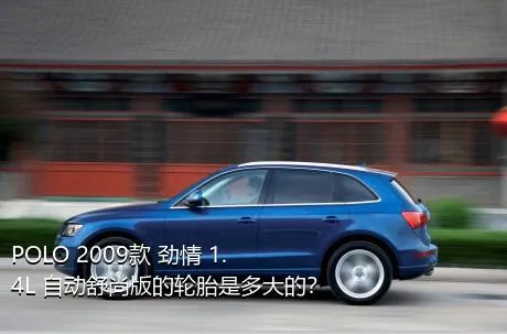 POLO 2009款 劲情 1.4L 自动舒尚版的轮胎是多大的？