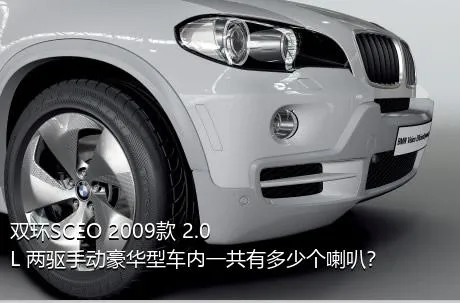 双环SCEO 2009款 2.0L 两驱手动豪华型车内一共有多少个喇叭？