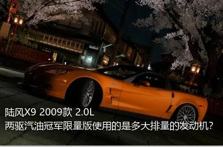 陆风X9 2009款 2.0L 两驱汽油冠军限量版使用的是多大排量的发动机？
