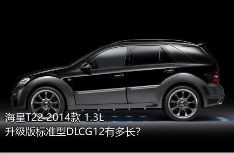海星T22 2014款 1.3L升级版标准型DLCG12有多长？